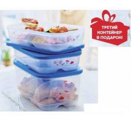 Набор Умных холодильников для мяса и рыбы (1,8 л-2 шт/4,4 л) РУ052 Tupperware